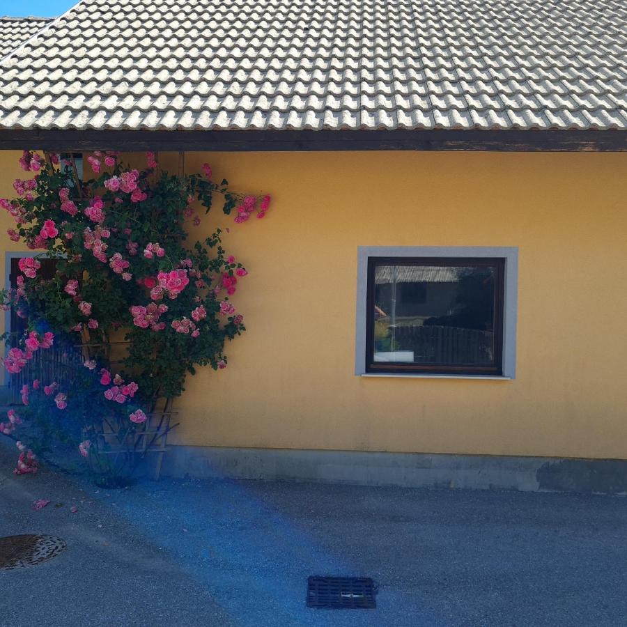 Apartma Nina Bohinj Luaran gambar
